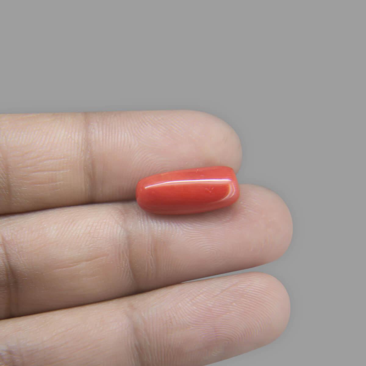 Red Coral - 7.40 Carat