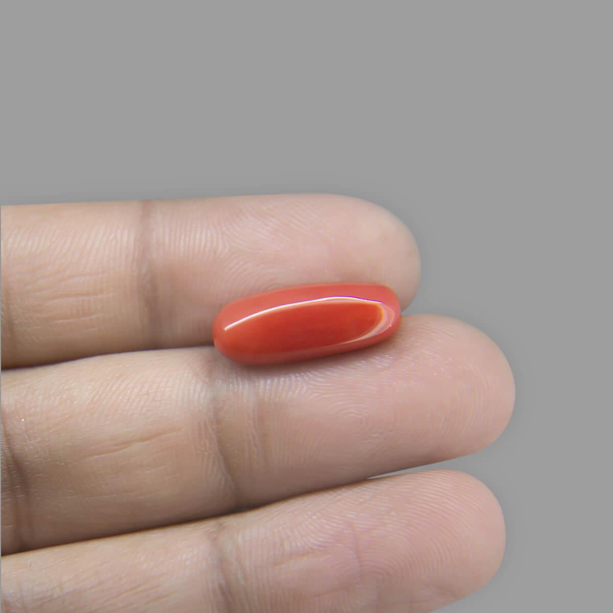 Red Coral - 7.50 Carat