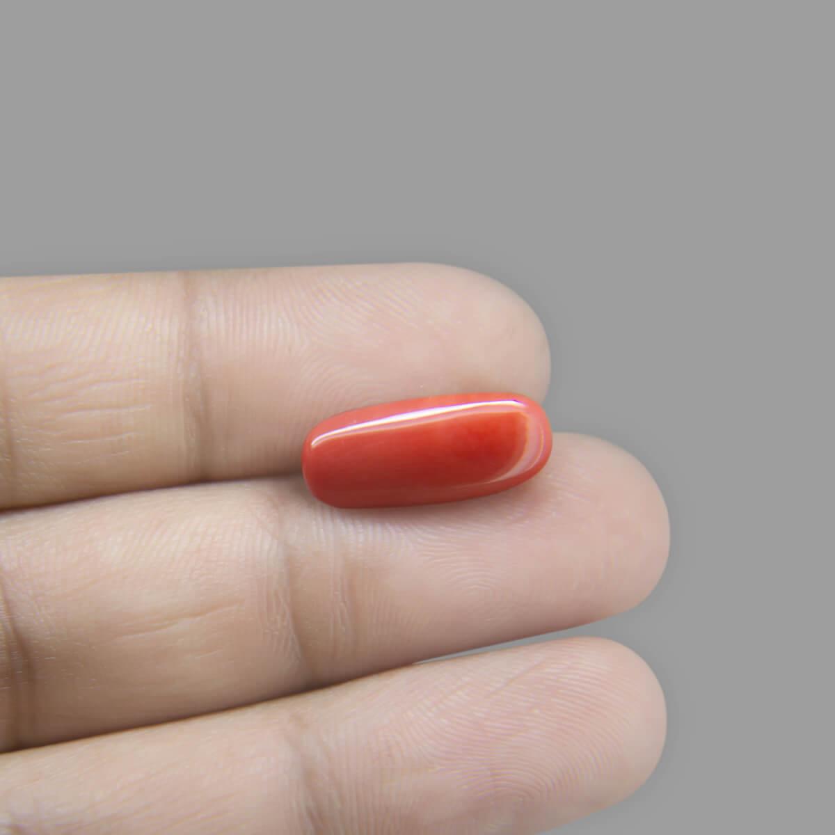 Red Coral - 7.51 Carat