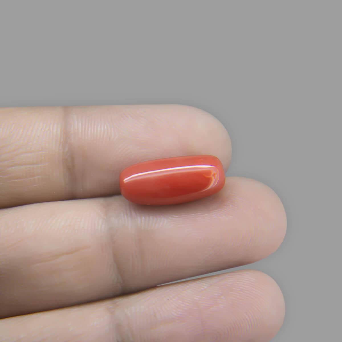 Red Coral - 6.92 Carat