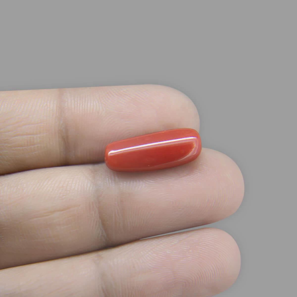 Red Coral - 7.47 Carat