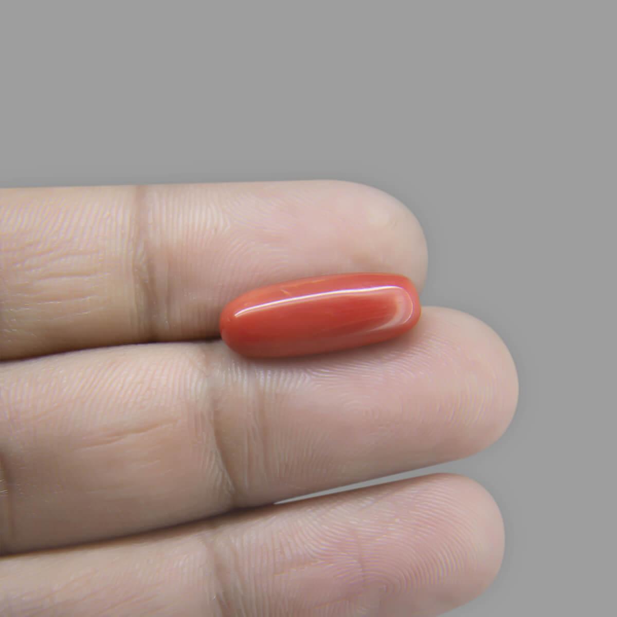 Red Coral - 6.44 Carat