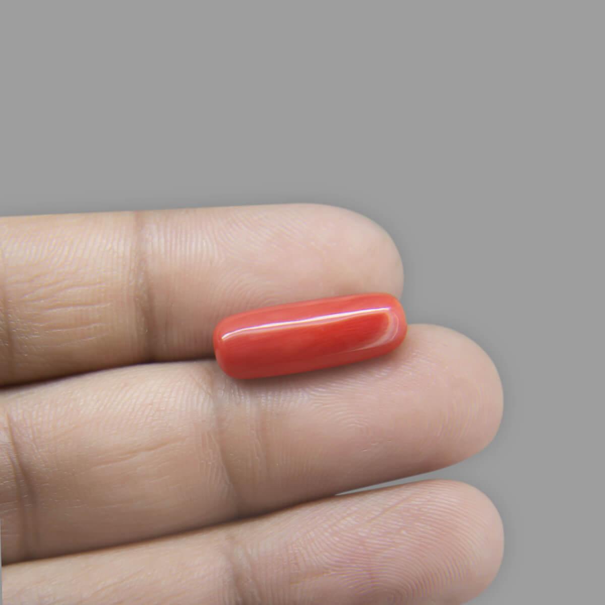 Red Coral - 7.15 Carat