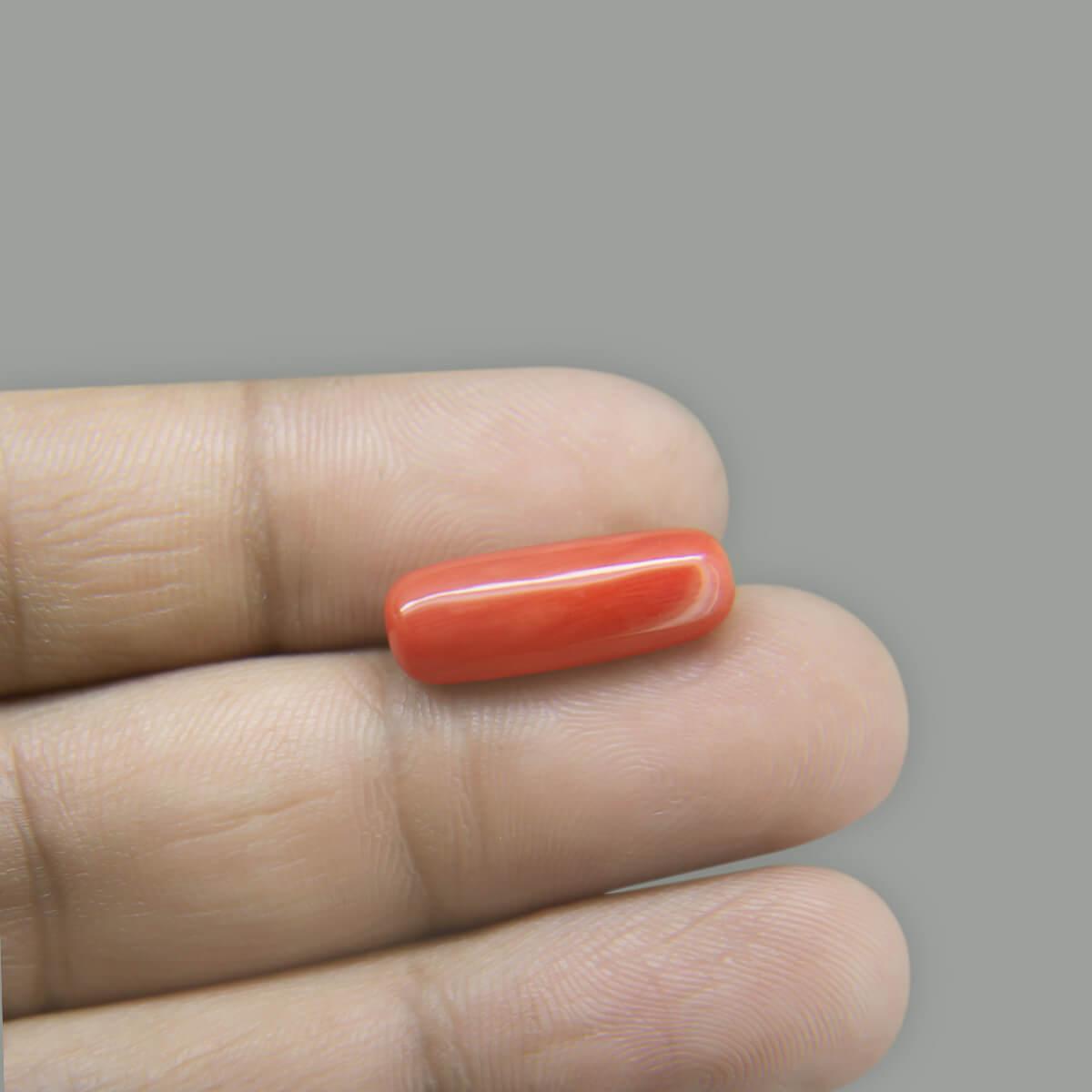 Red Coral - 6.67 Carat