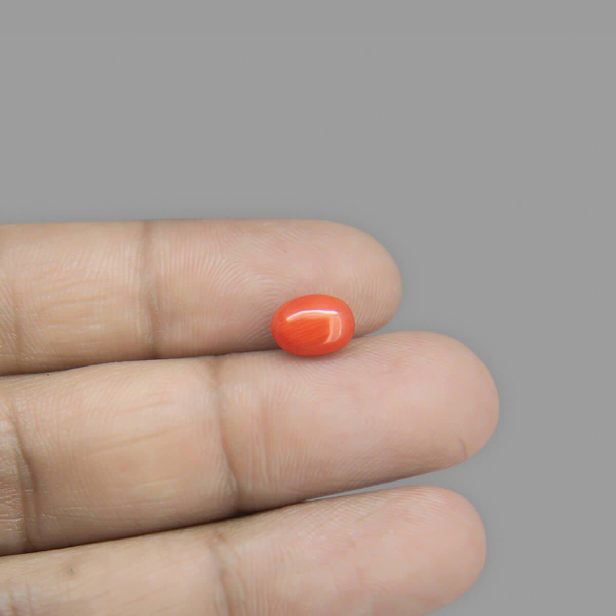 Red Coral - 1.71 Carat