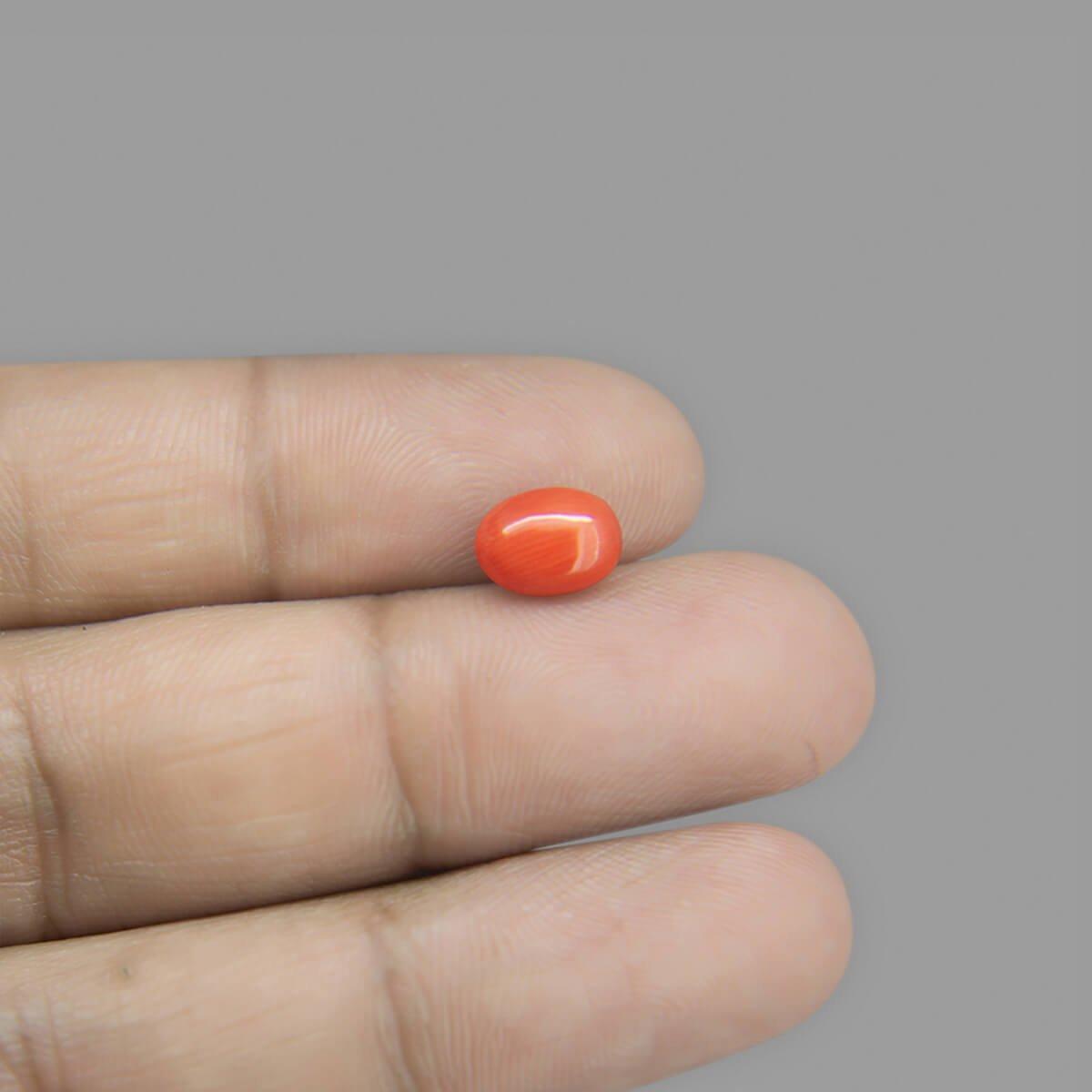 Red Coral - 1.77 Carat