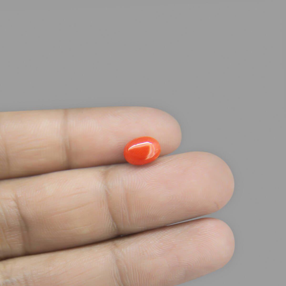 Red Coral - 1.66 Carat