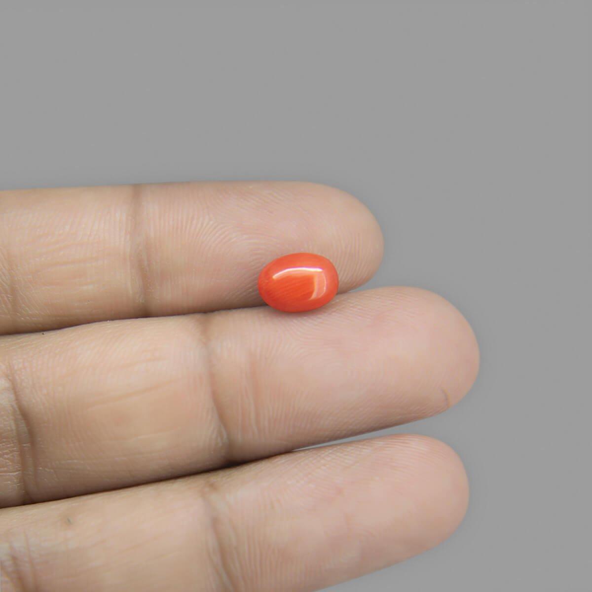 Red Coral - 2.20 Carat