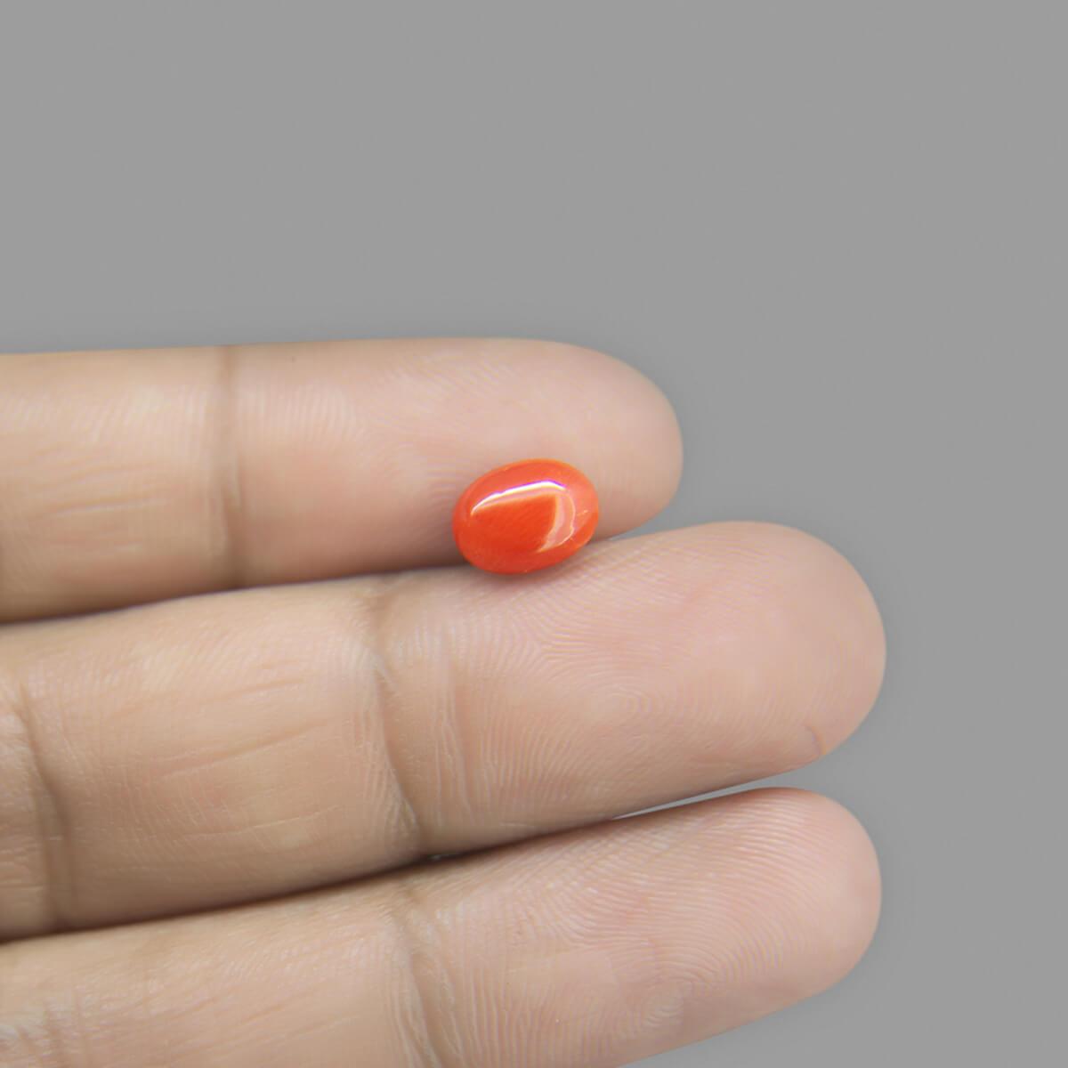 Red Coral - 1.76 Carat