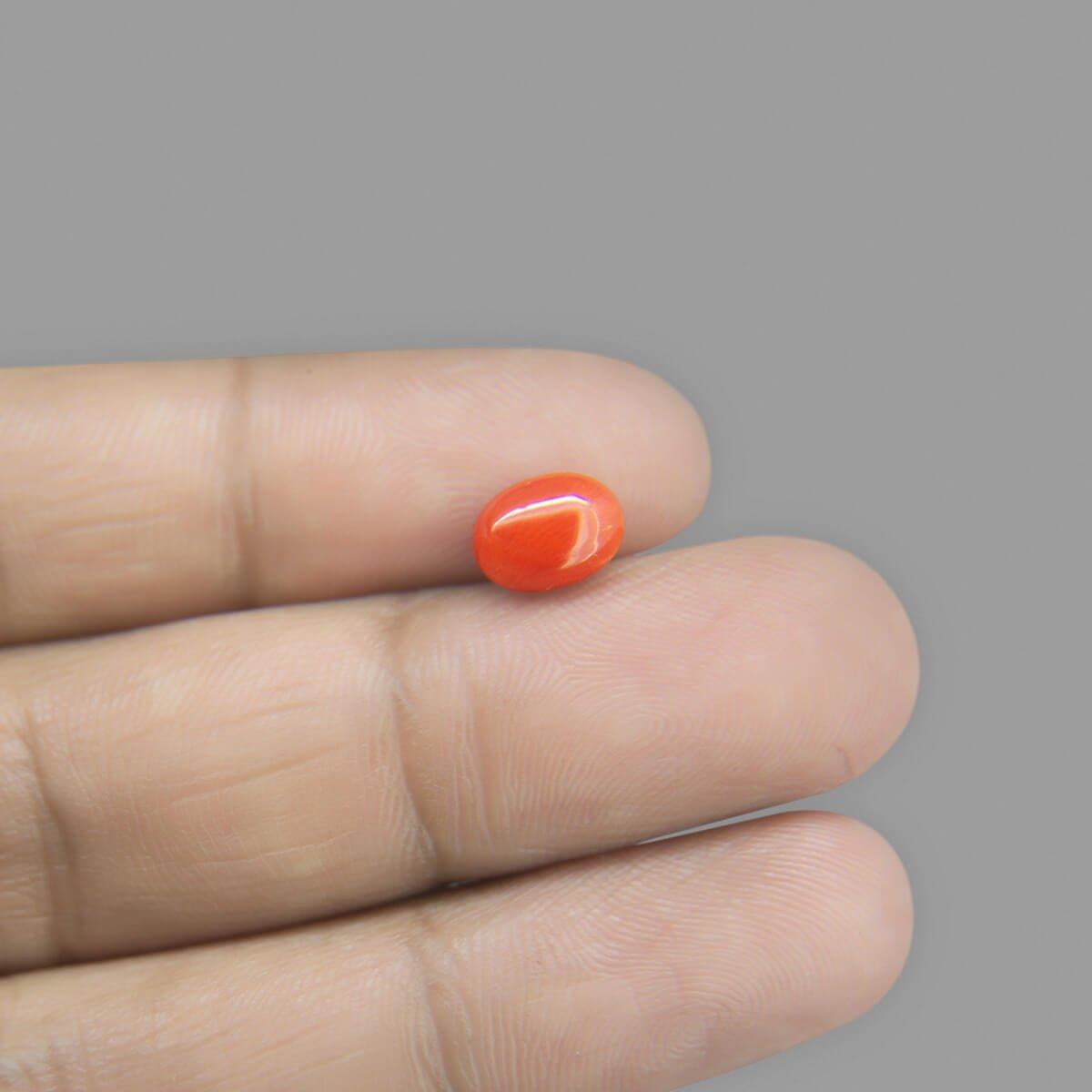 Red Coral - 2.01 Carat