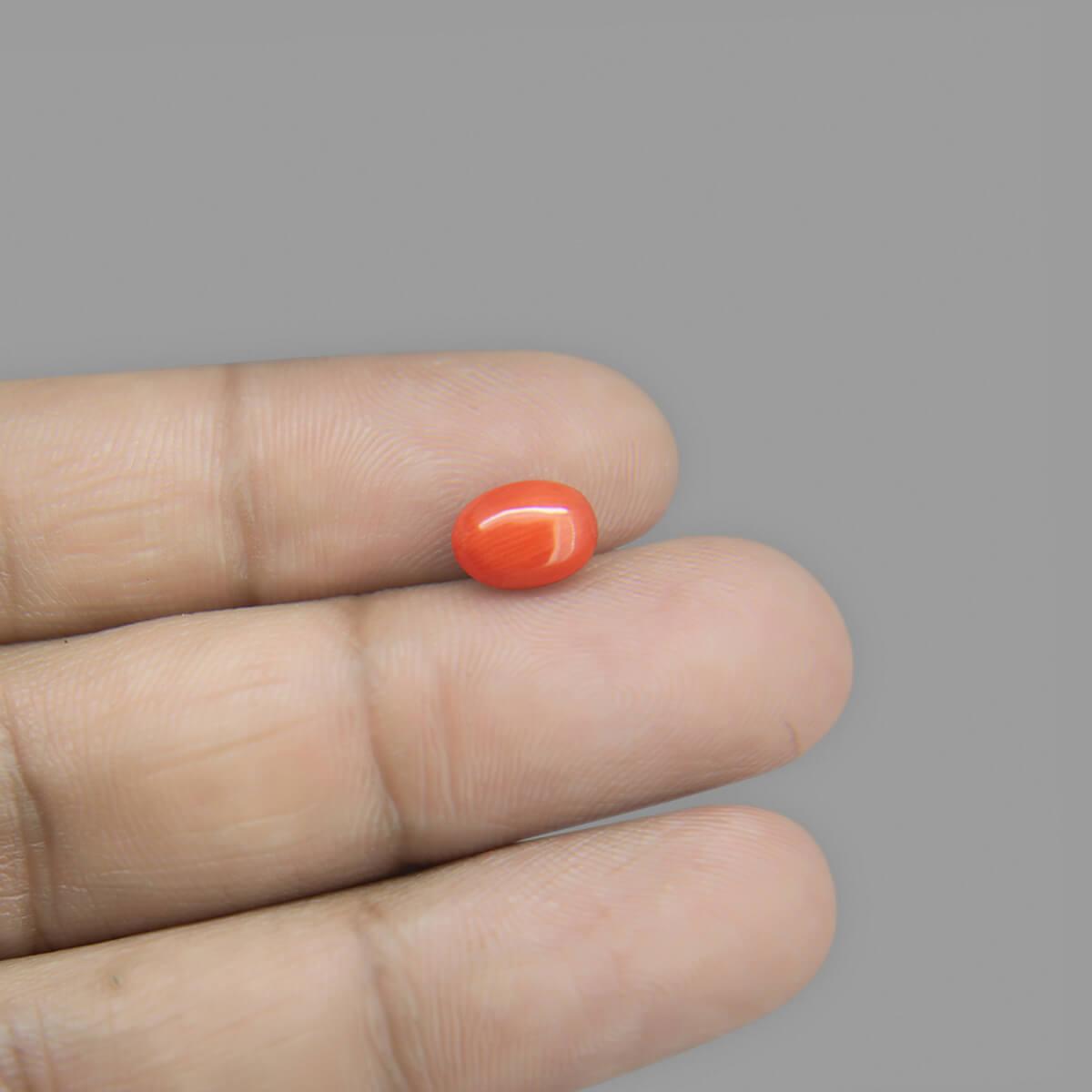 Red Coral - 1.82 Carat