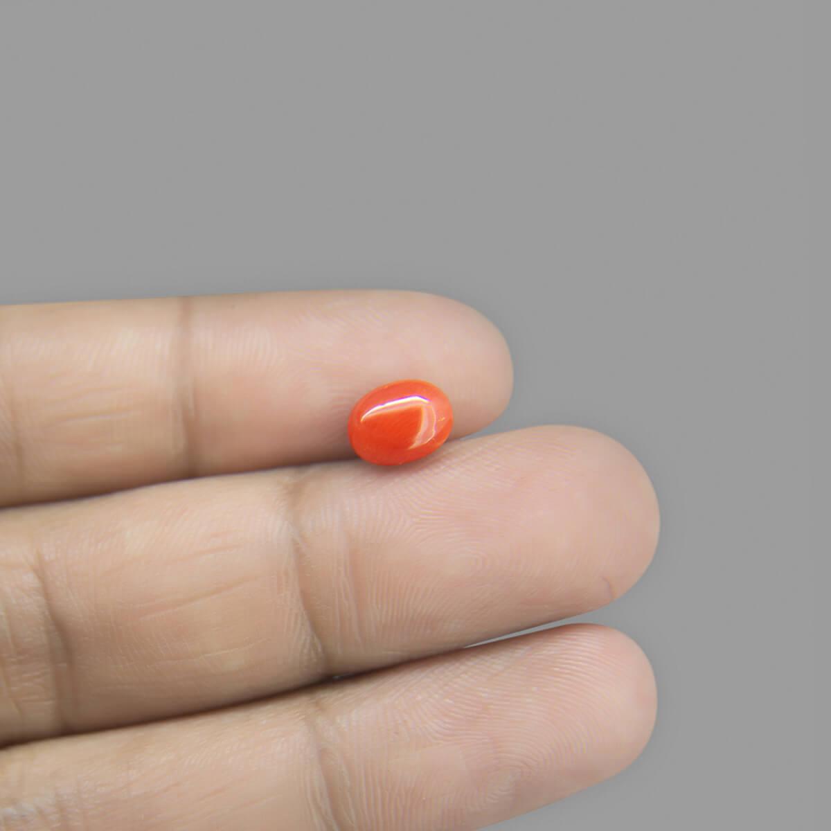 Red Coral - 1.88 Carat