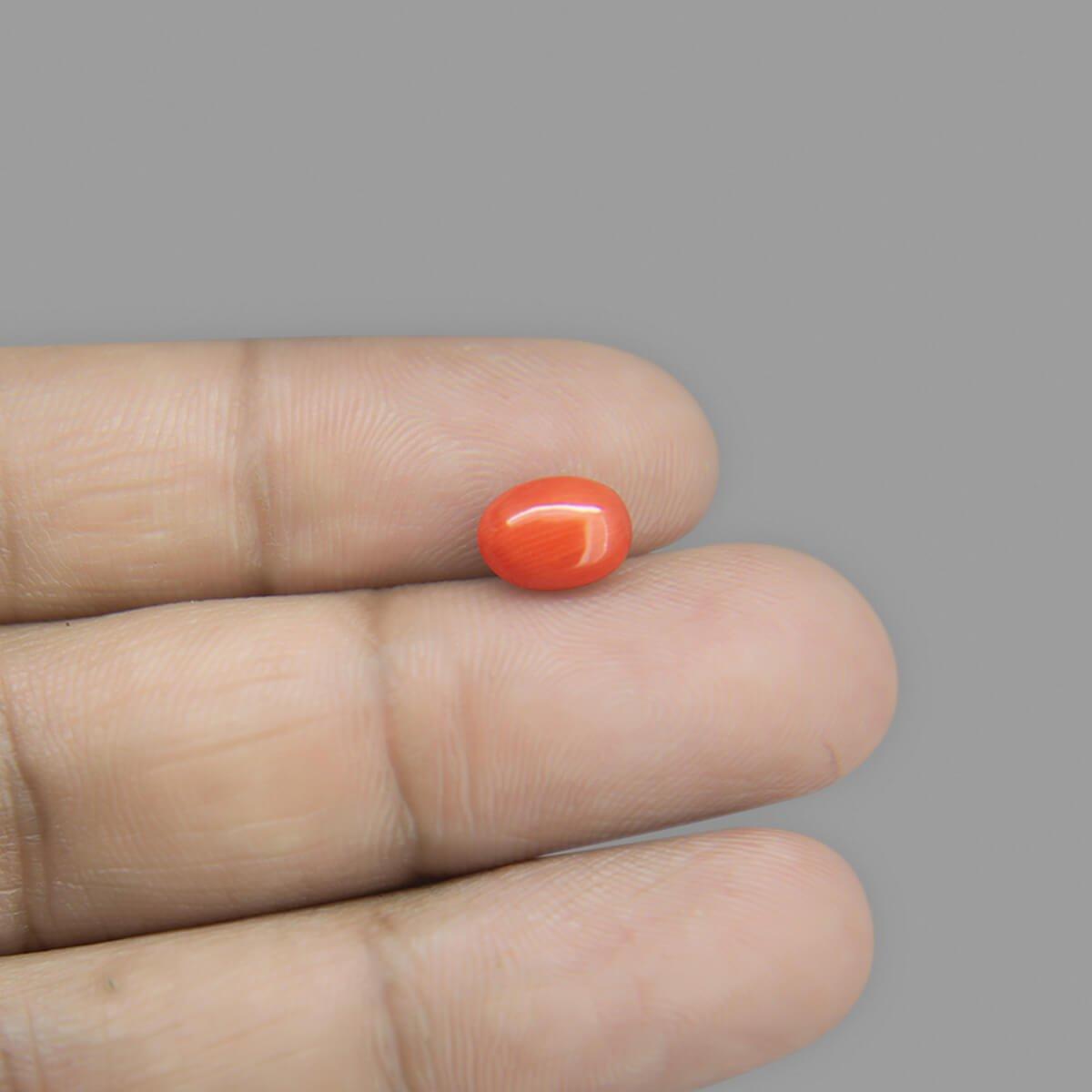 Red Coral - 2.11 Carat