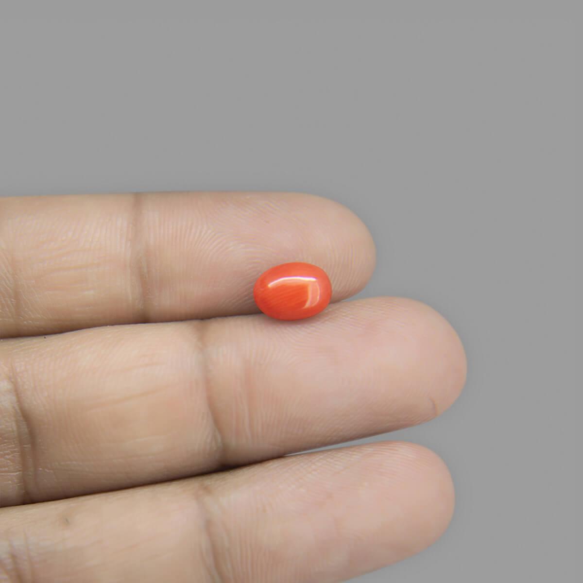 Red Coral - 1.88 Carat