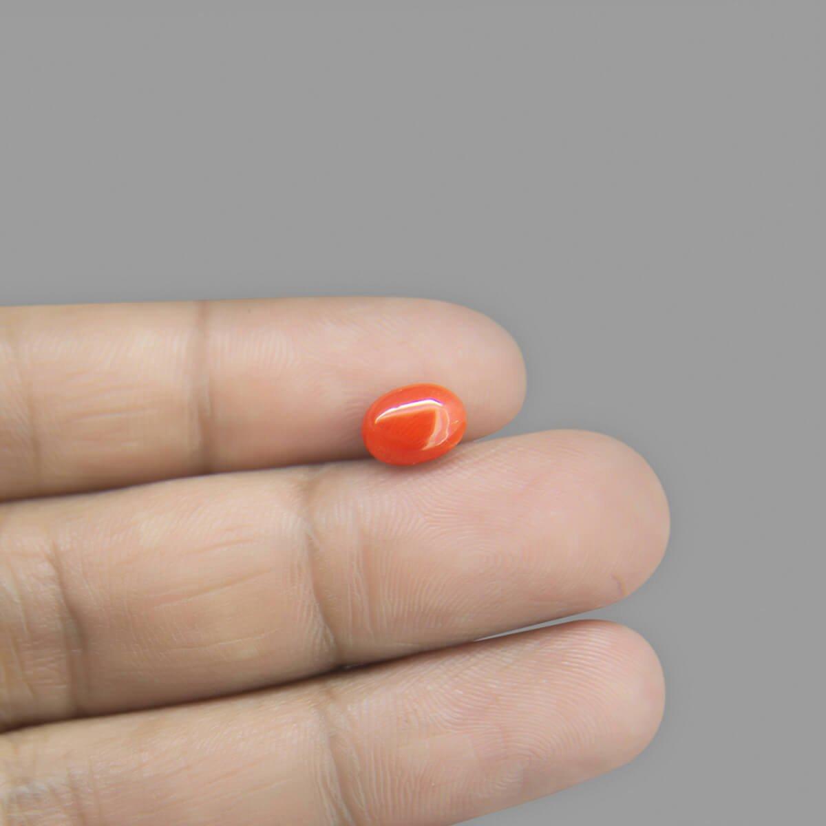 Red Coral - 1.95 Carat