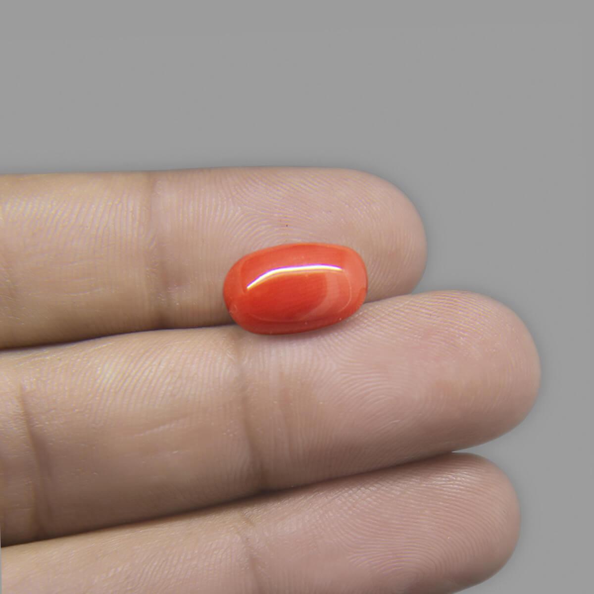 Red Coral - 7.07 Carat