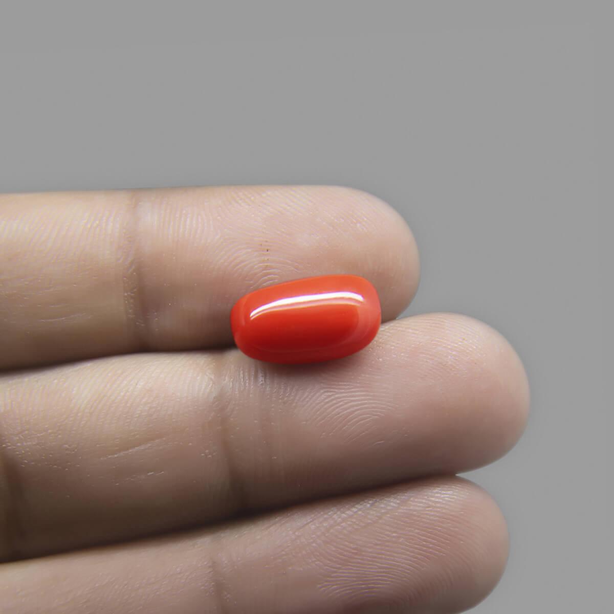 Red Coral - 7.33 Carat