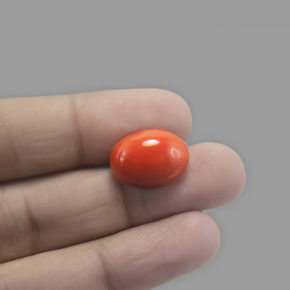 Red Coral - 5.83 Carat