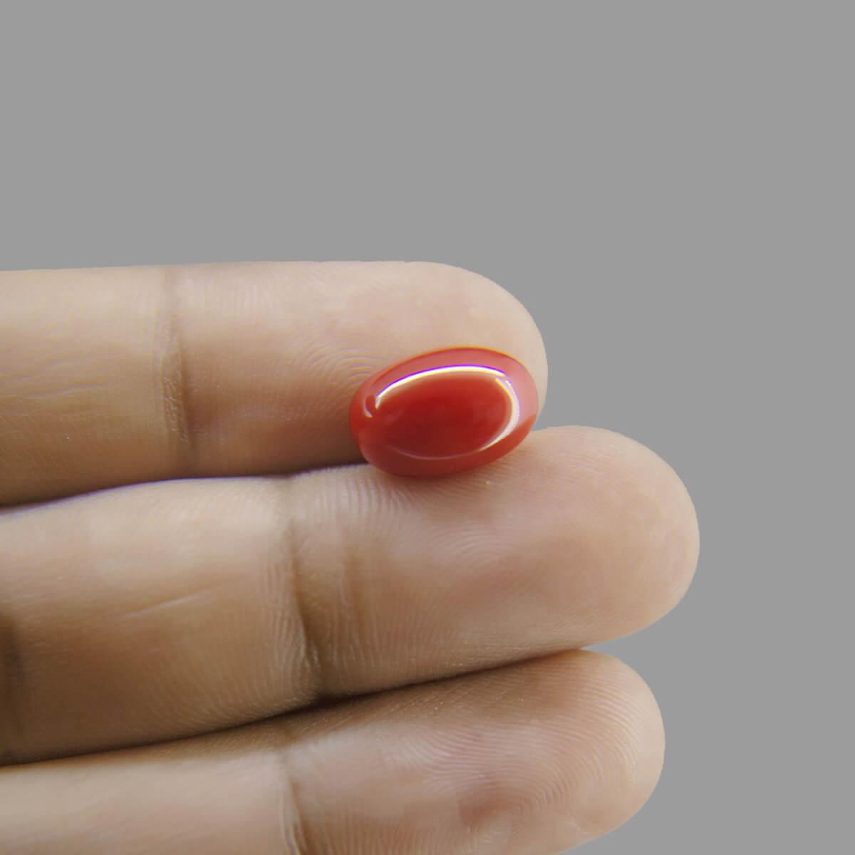 Red Coral - 7.02 Carat