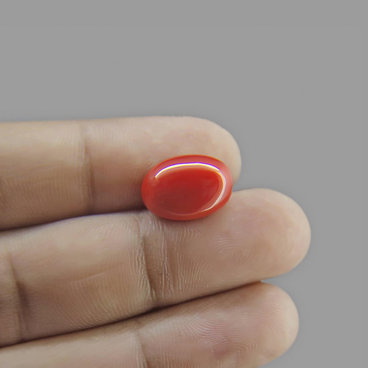 Red Coral - 6.15 Carat