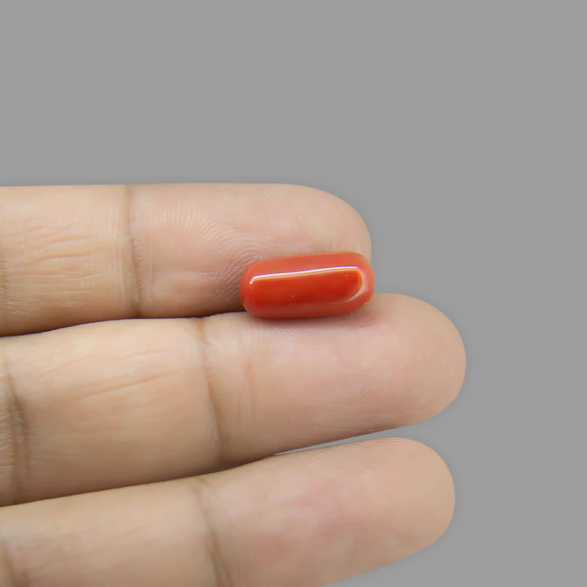 Red Coral - 7.28 Carat