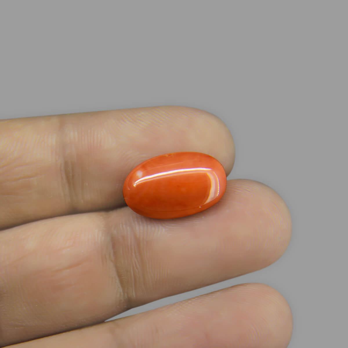 Red Coral - 5.58 Carat