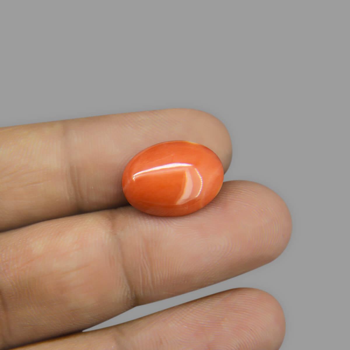Red Coral - 6.64 Carat