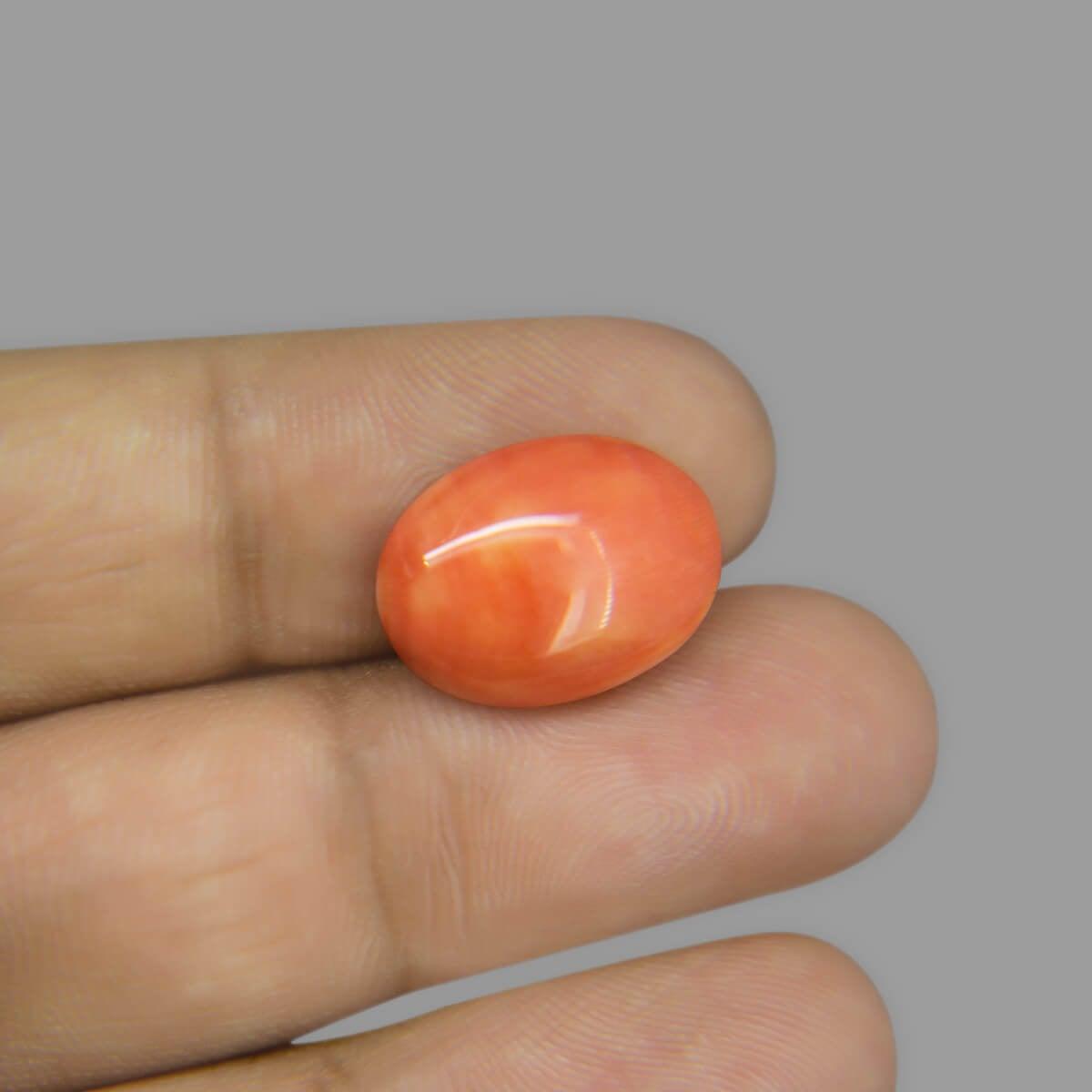 Red Coral - 7.41 Carat