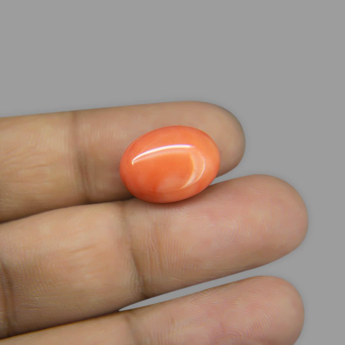 Red Coral - 8.40 Carat