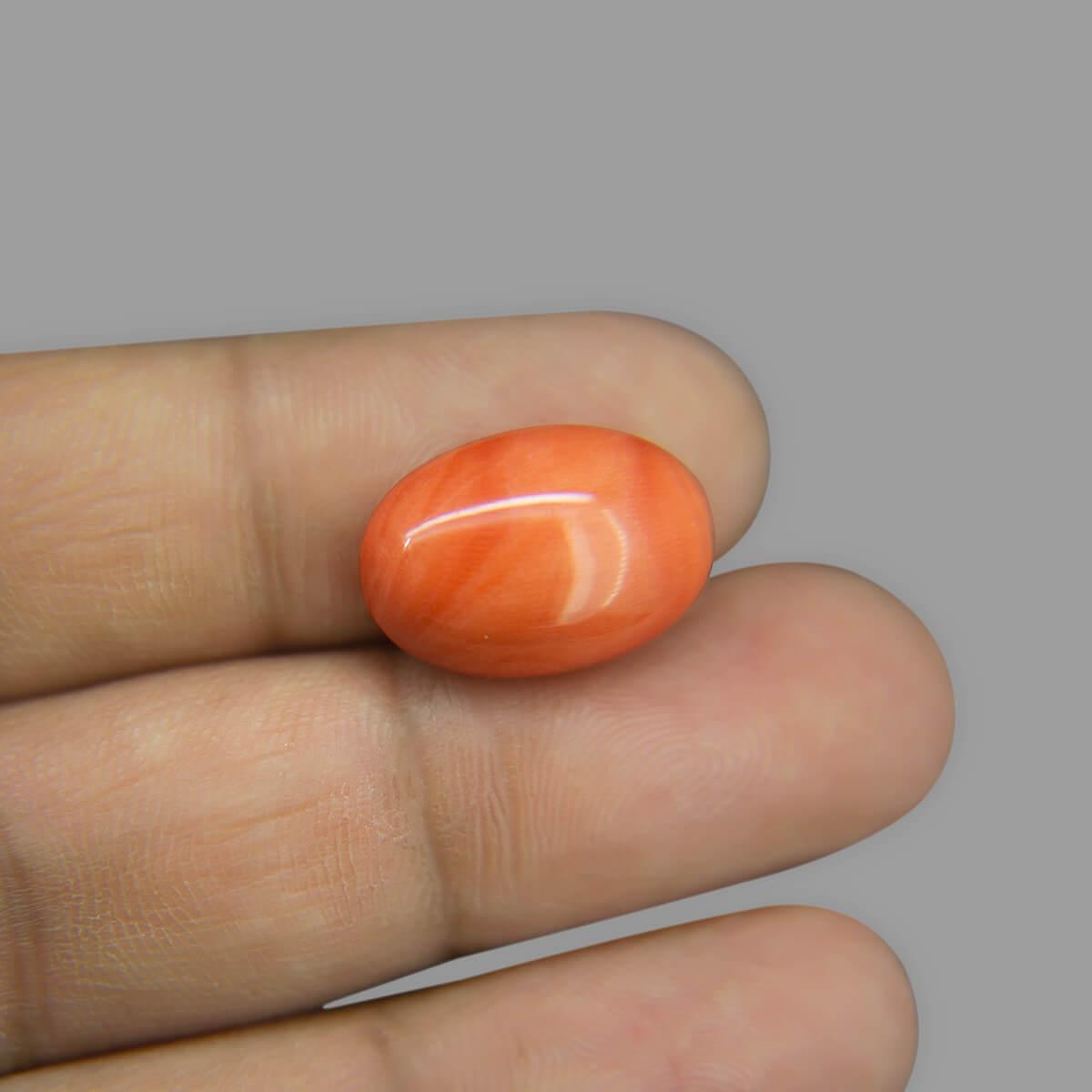 Red Coral - 10.10 Carat