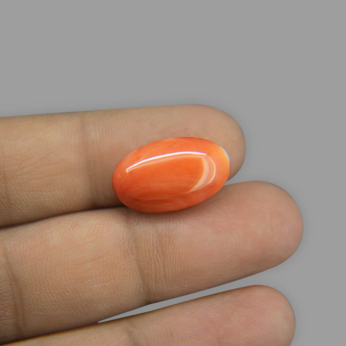 Red Coral - 10.54 Carat