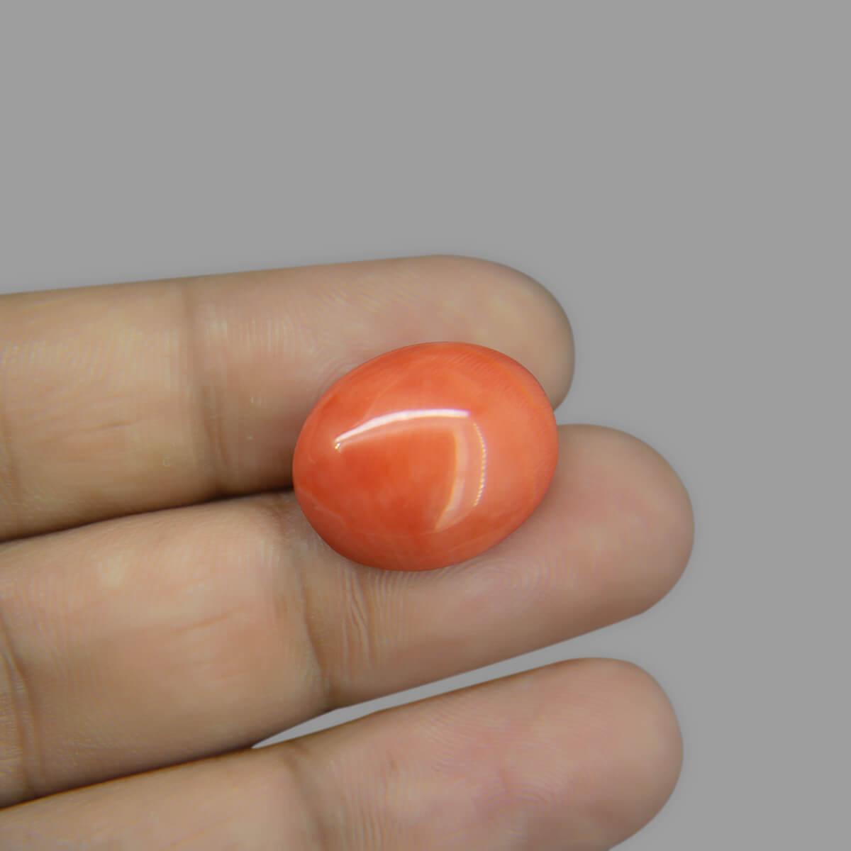 Red Coral - 12.40 Carat