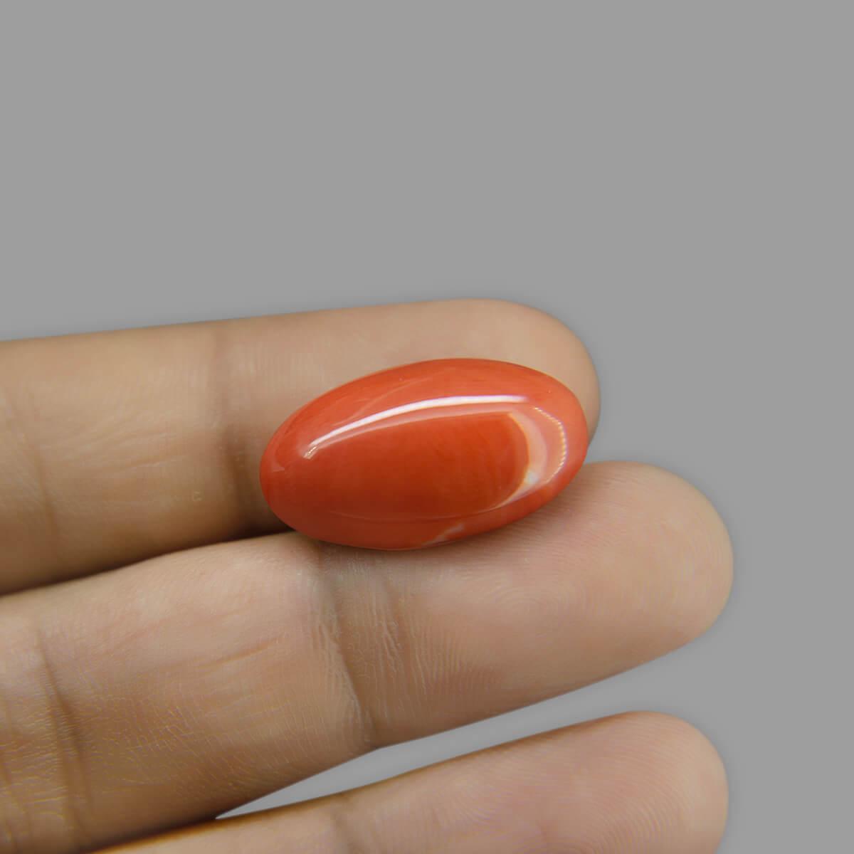 Red Coral - 14.14 Carat
