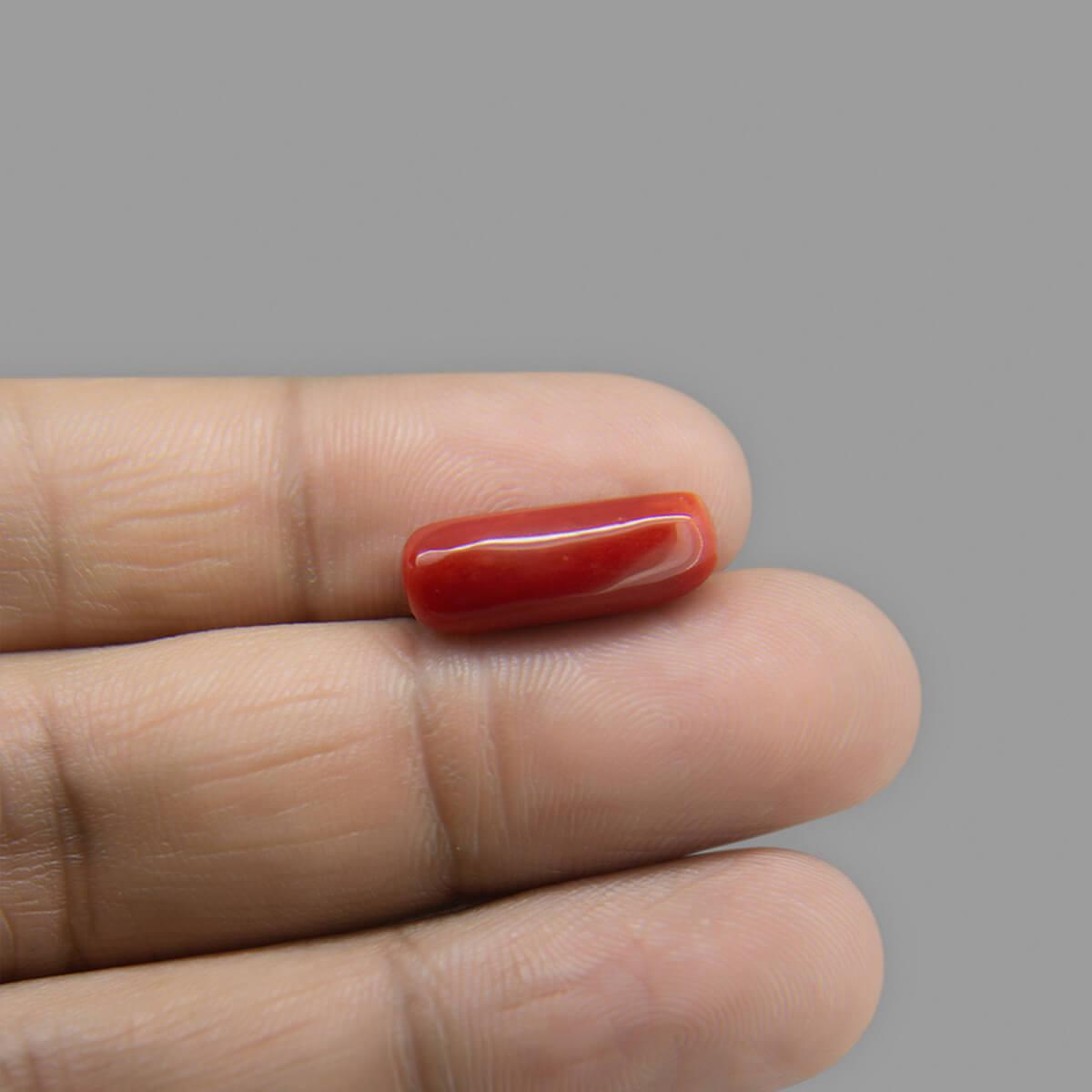 Red Coral - 4.87 Carat