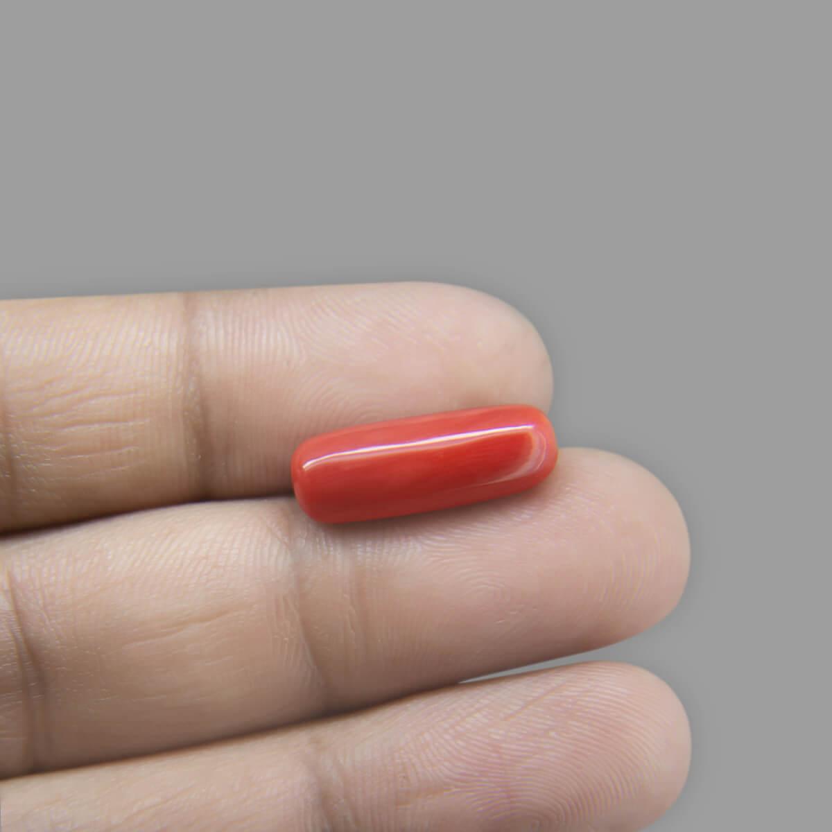 Red Coral - 7.82 Carat