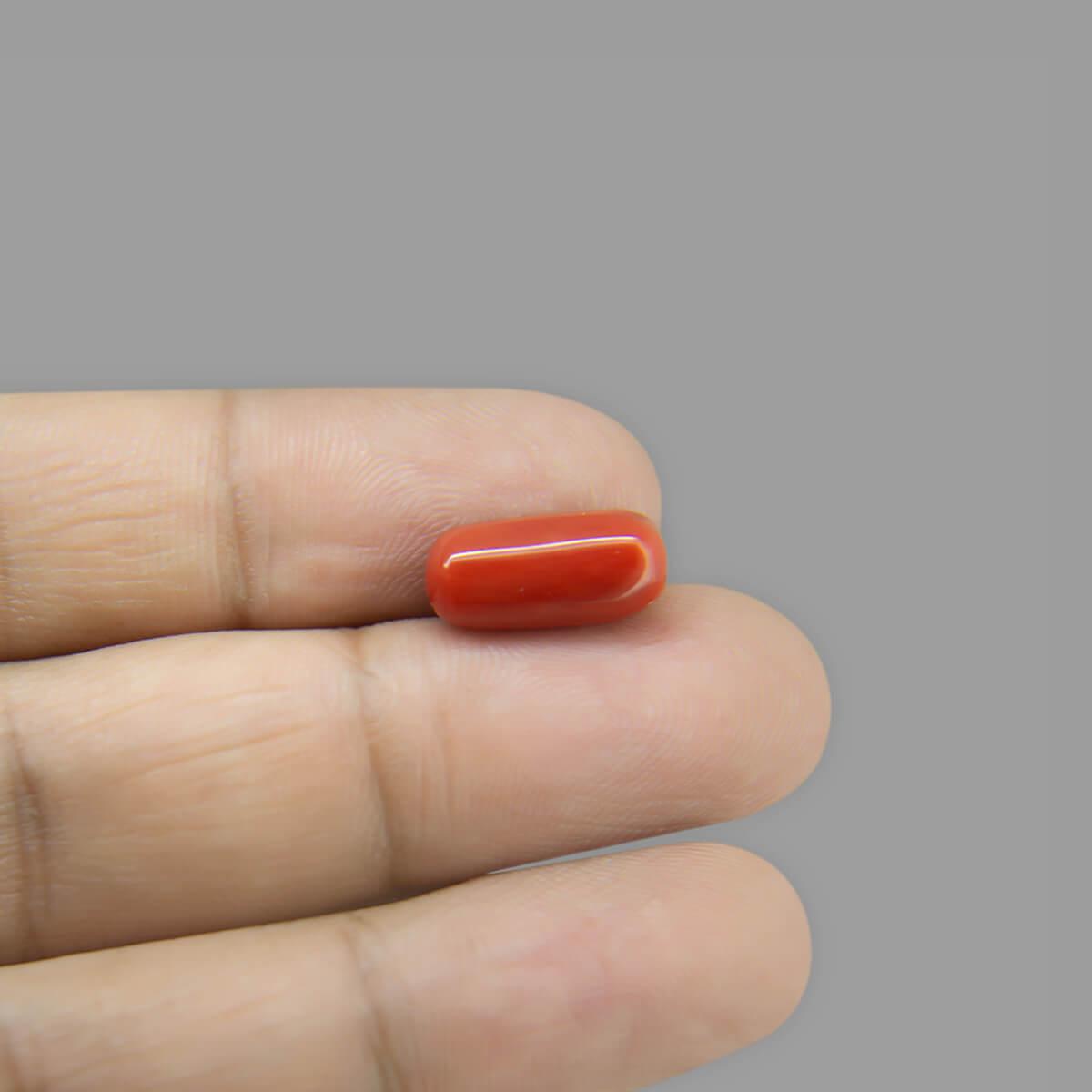 Red Coral - 7.19 Carat