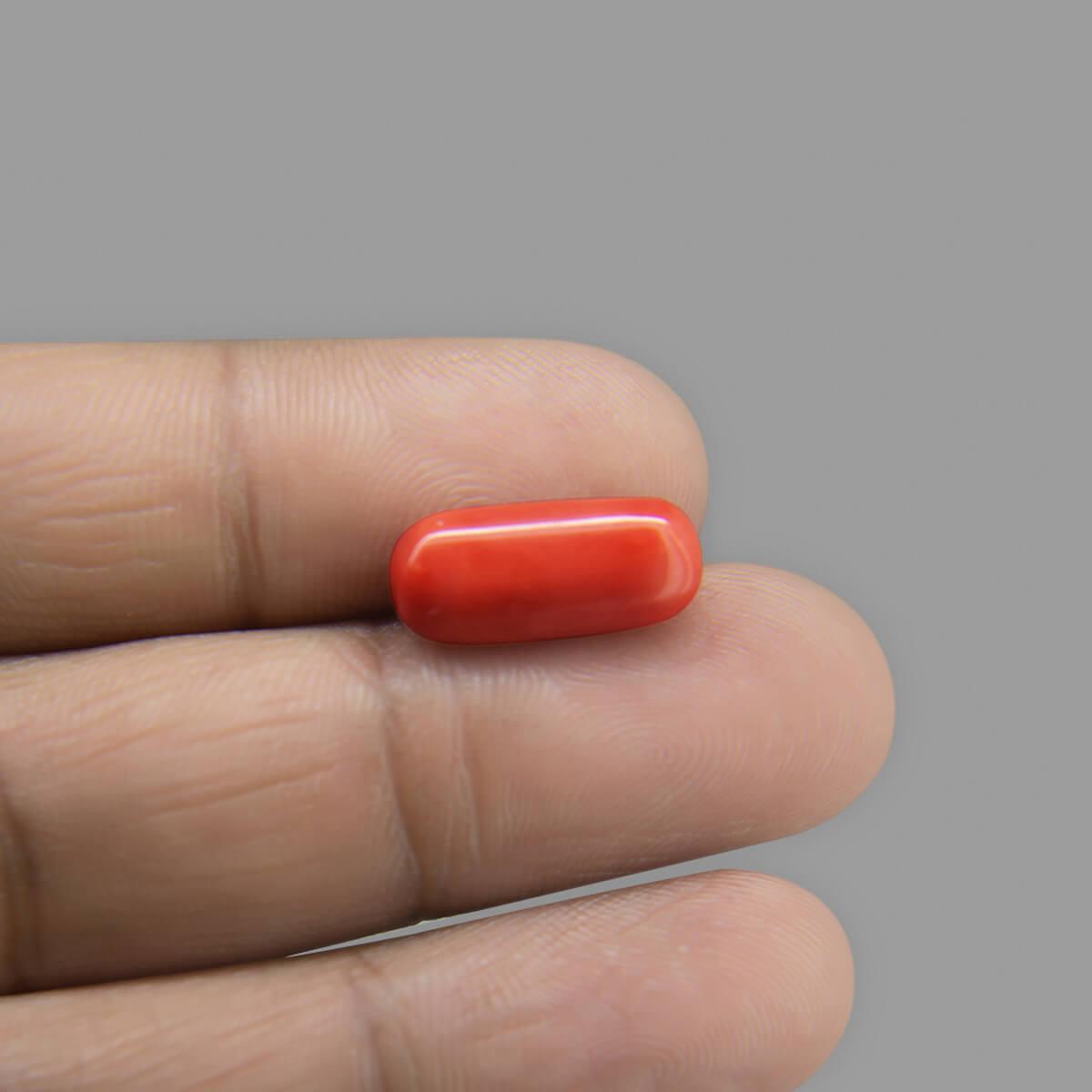 Red Coral - 7.53 Carat