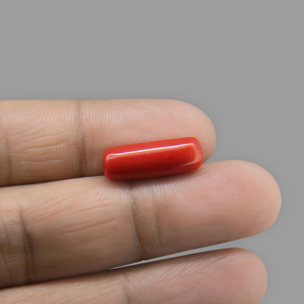 Red Coral - 8.78 Carat