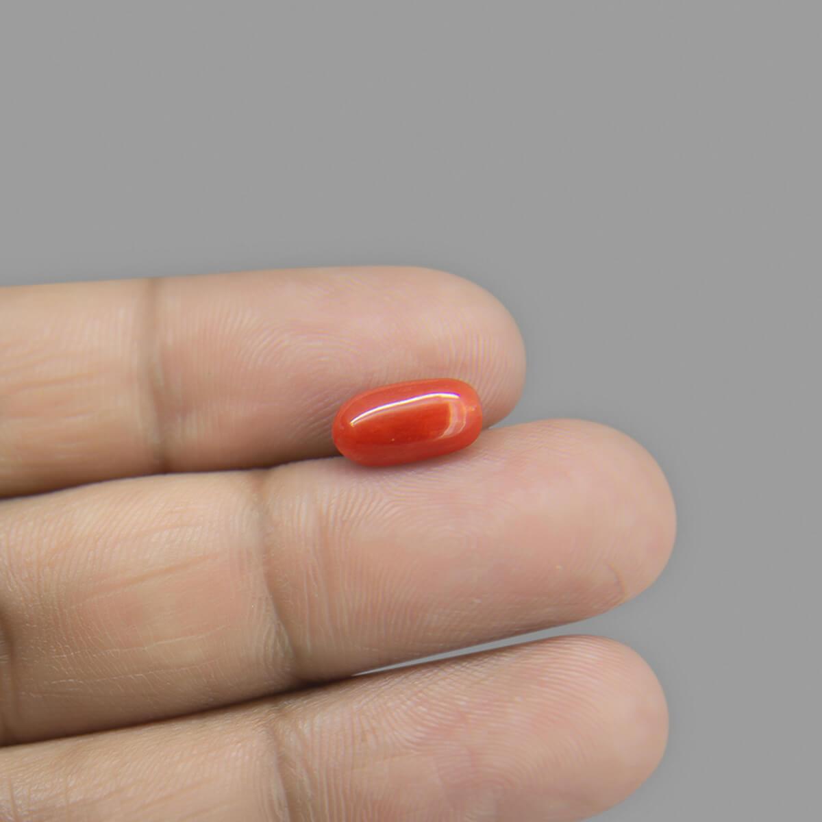 Red Coral - 4.60 Carat
