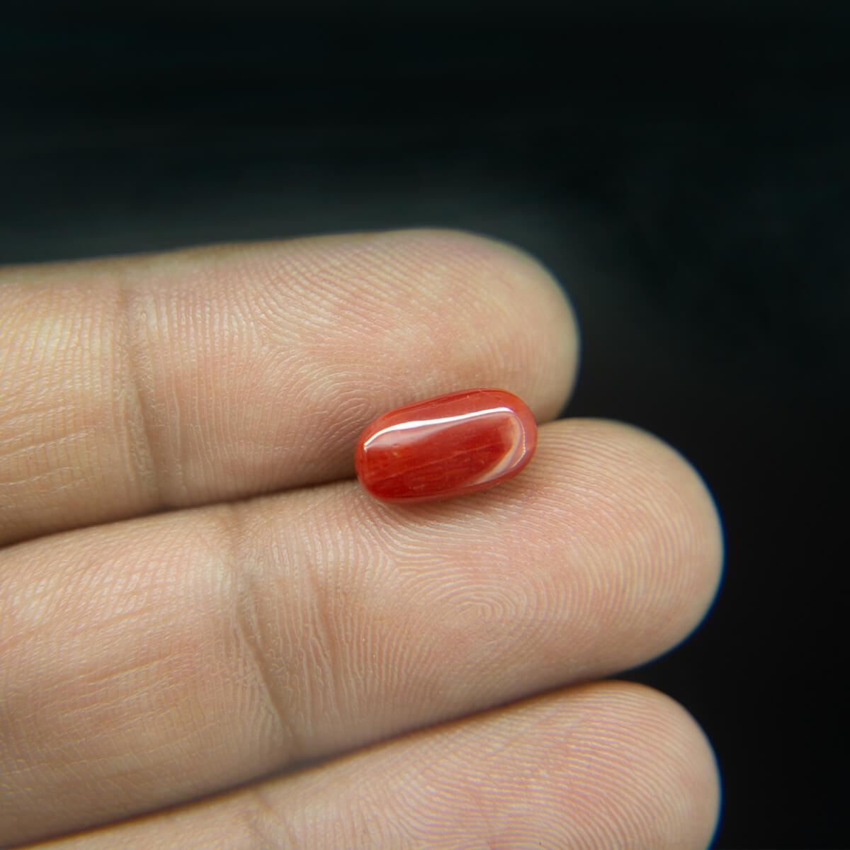 Red Coral - 2.96 Carat
