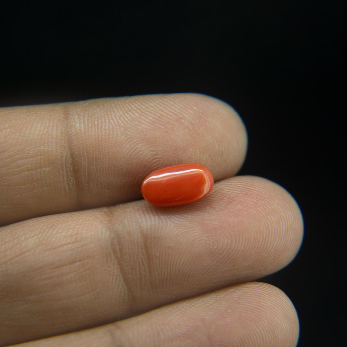 Red Coral - 2.85 Carat