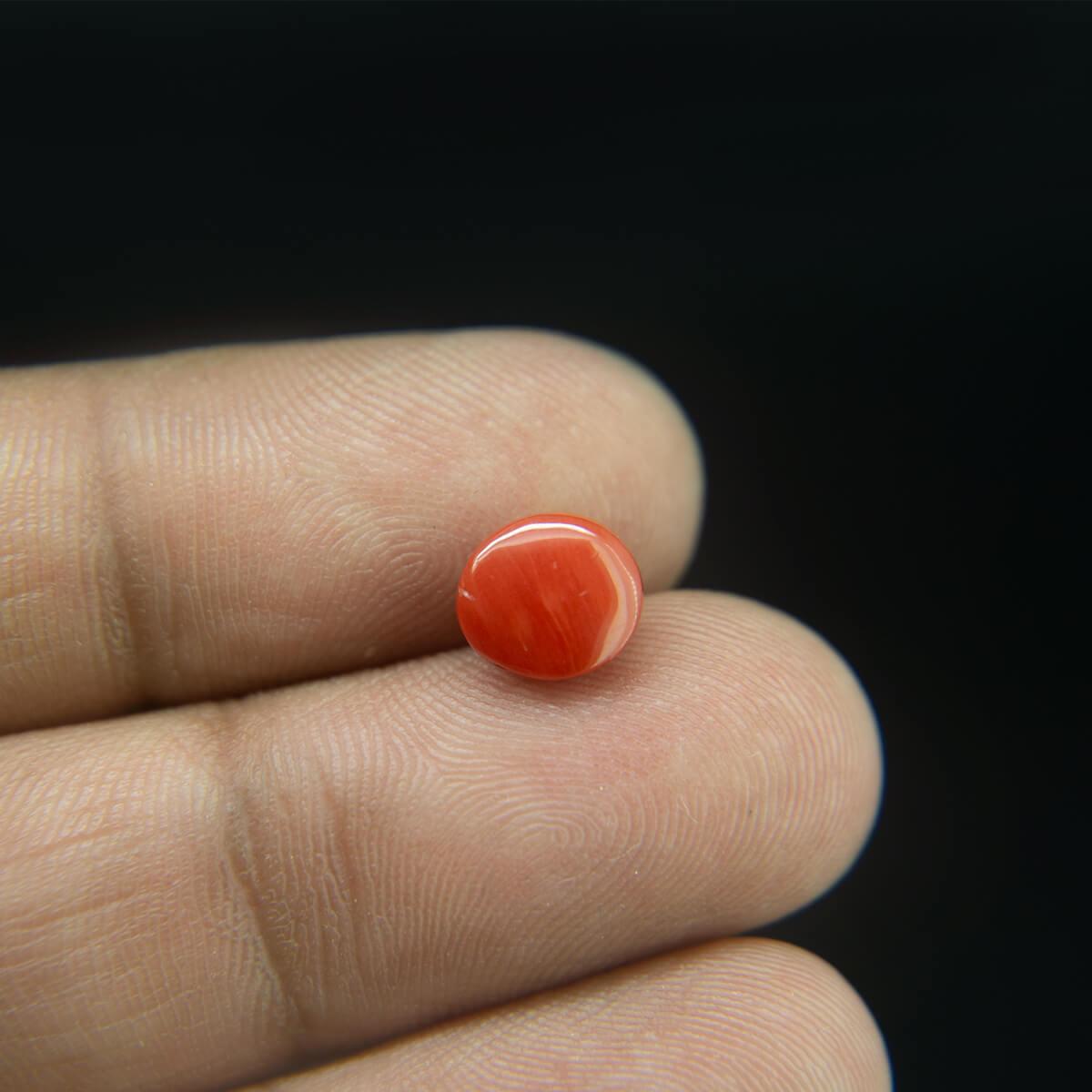 Red Coral - 2.08 Carat