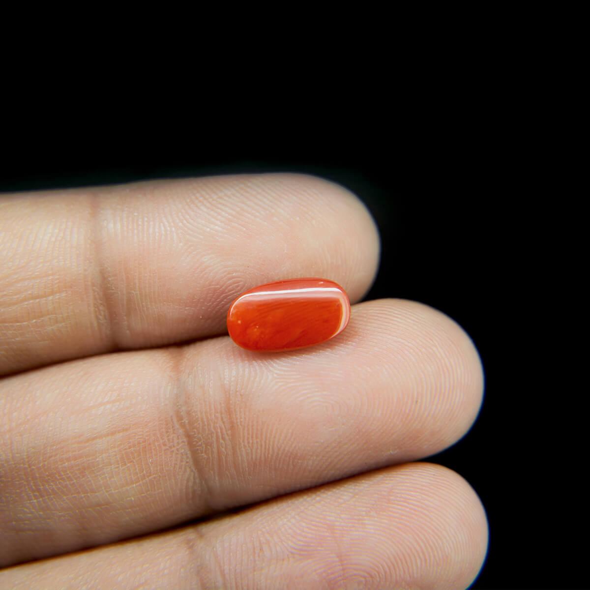 Red Coral - 2.41 Carat