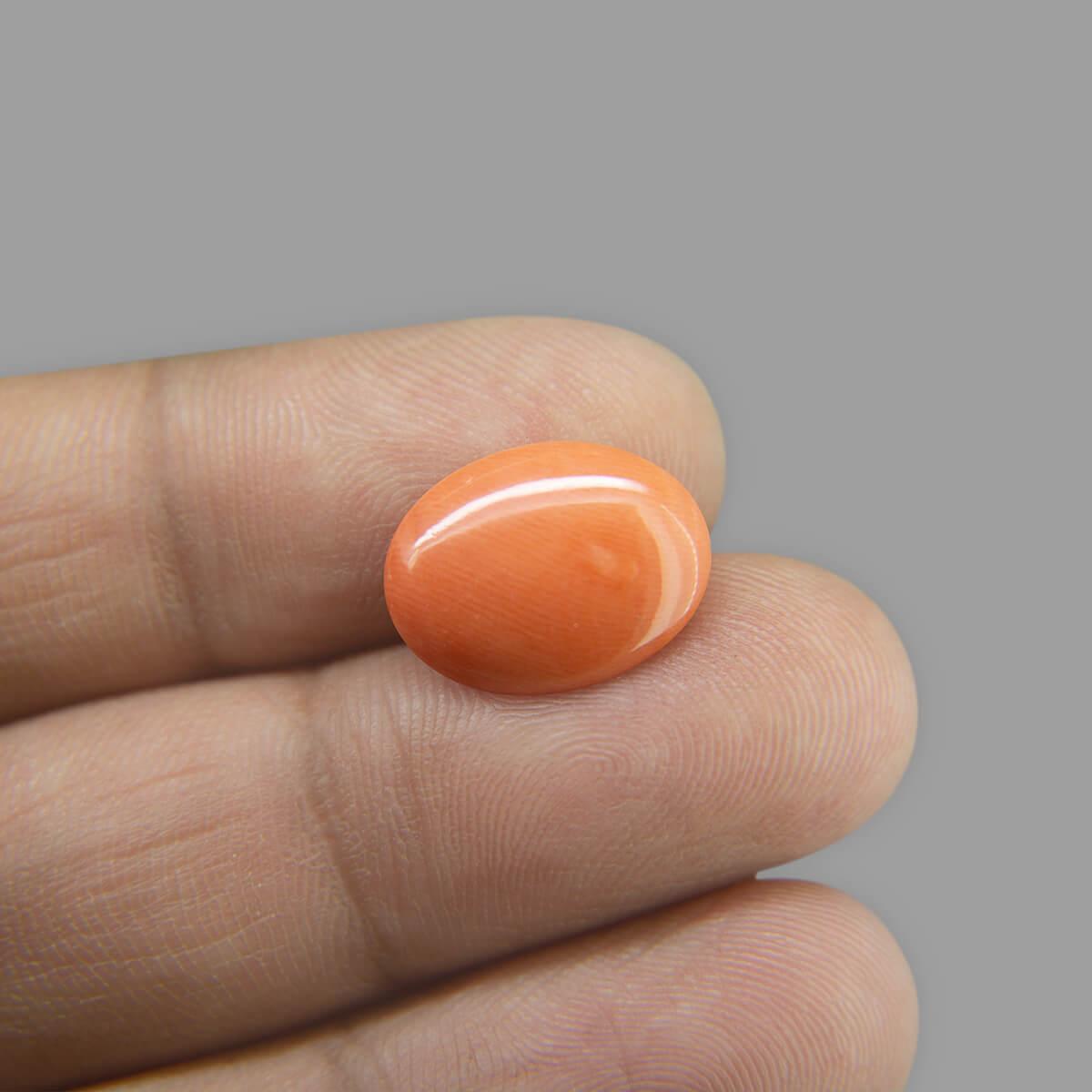 Red Coral - 4.90 Carat