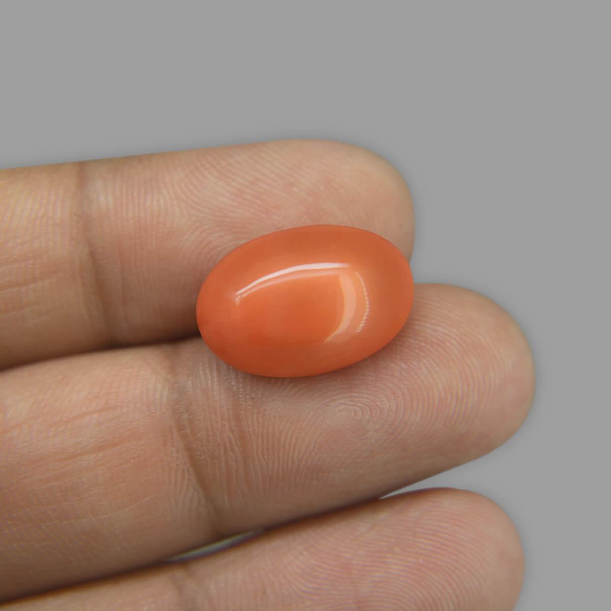 Red Coral - 9.85 Carat