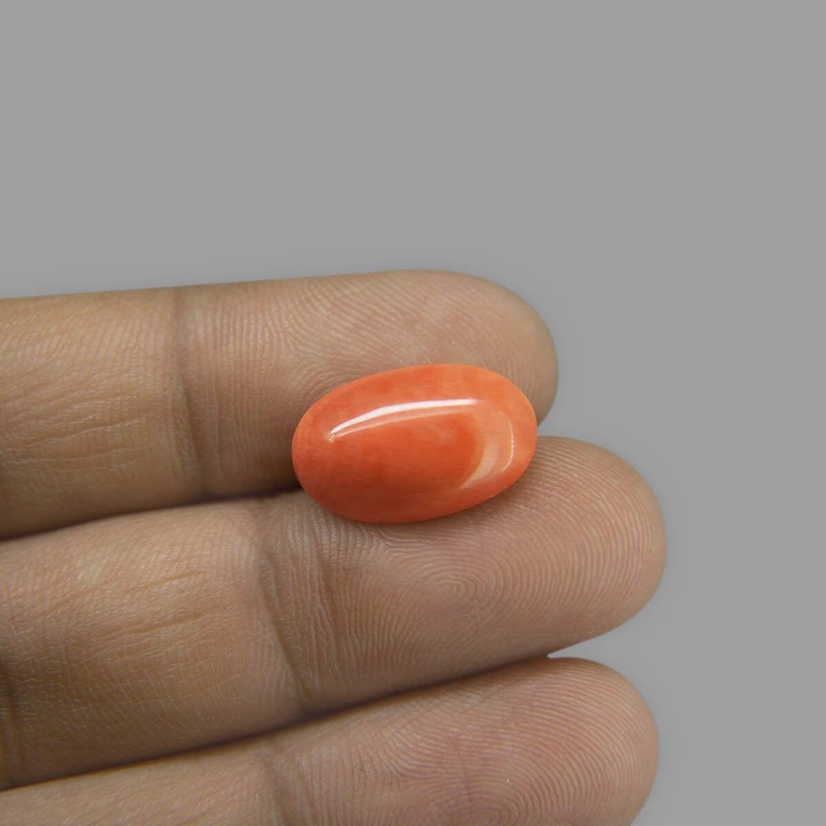 Red Coral - 6.87 Carat