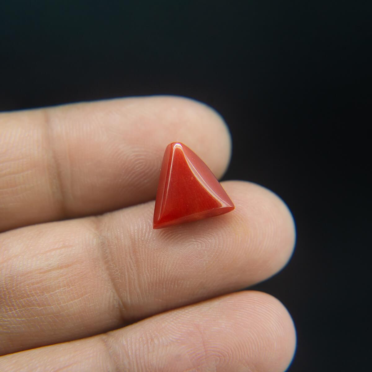 Red Coral - 6.21 Carat