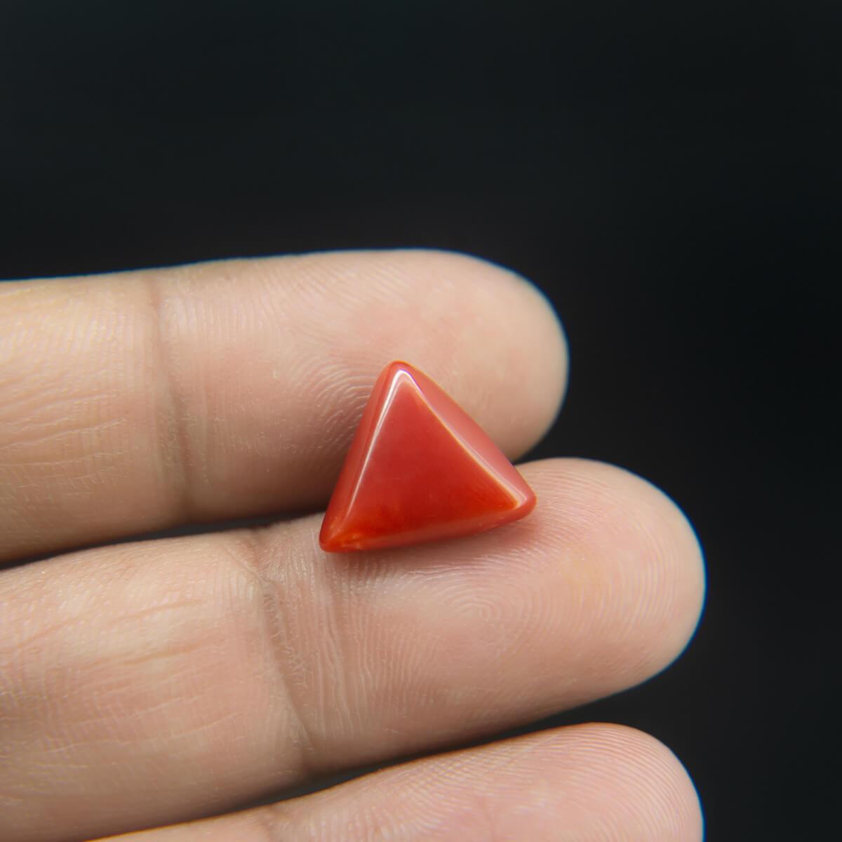 Red Coral - 5.83 Carat