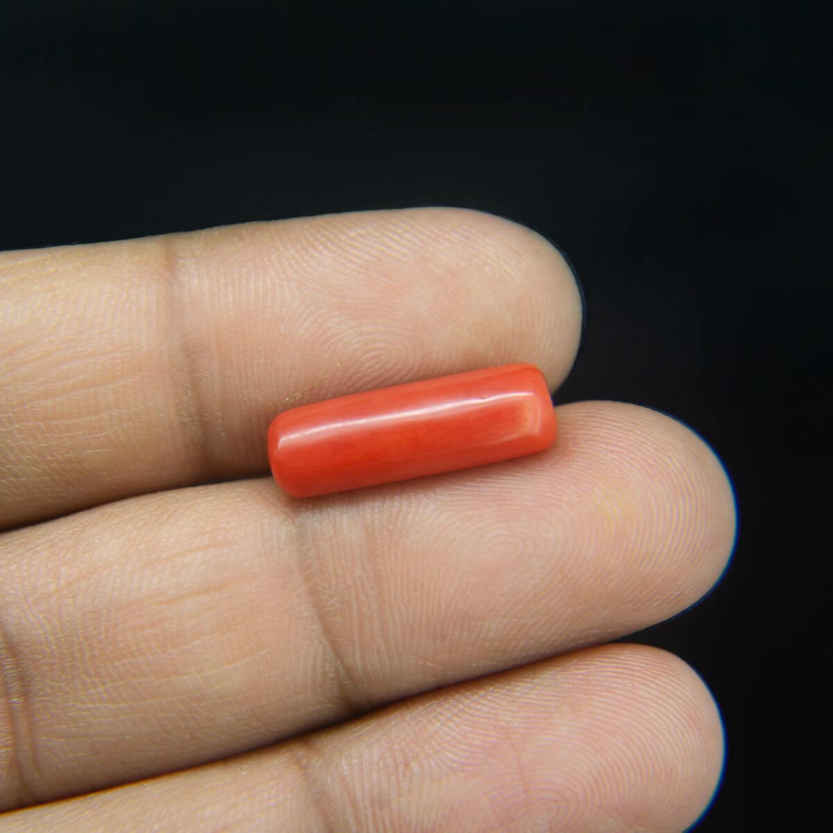 Red Coral - 8.58 Carat