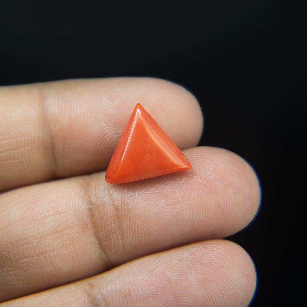 Red Coral - 5.38 Carat